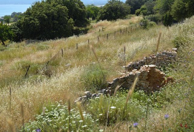 Pythagorion - antike Stadt Samos